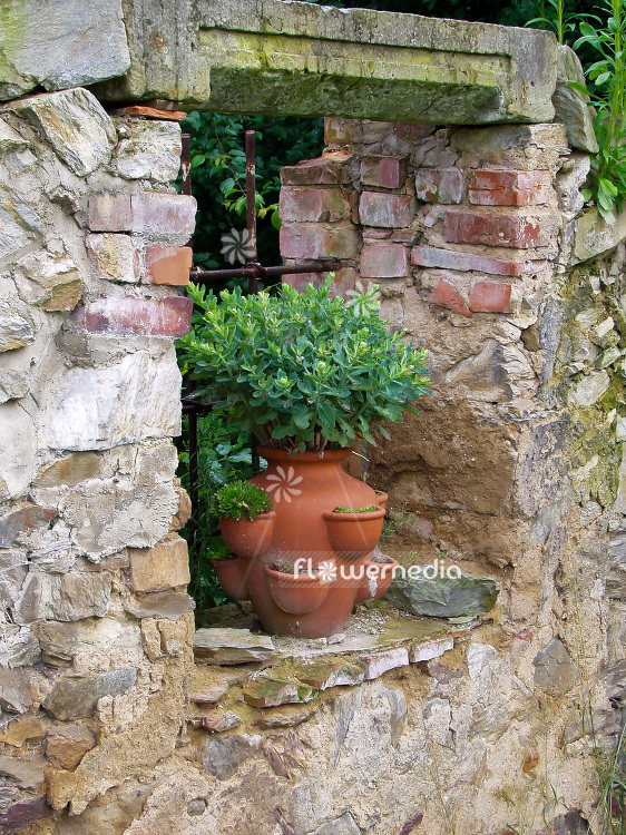 Planted Pot in wall ruin (102144)