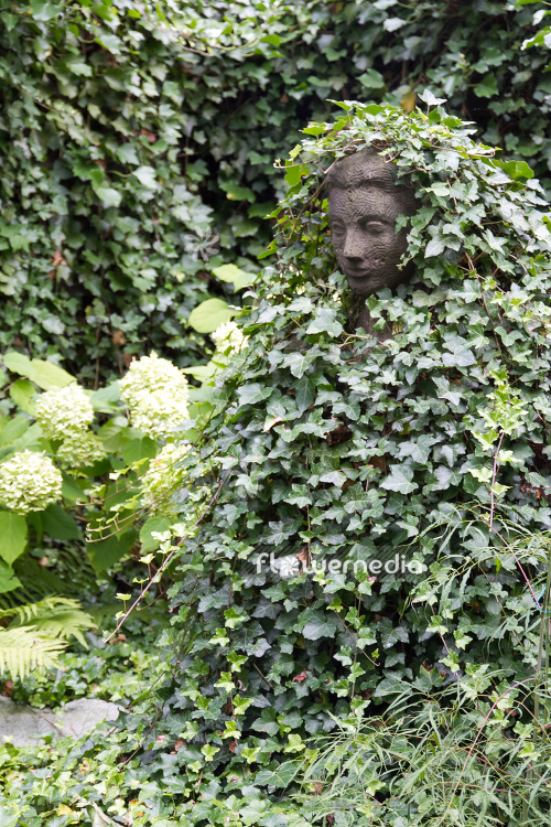 Sculpture with ivy (110584)